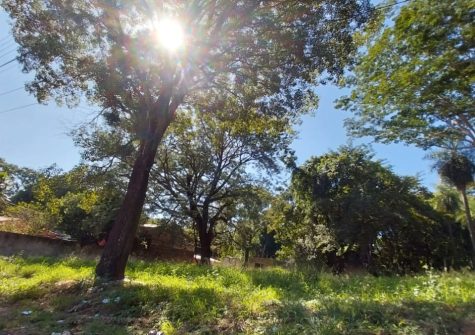 Terreno en Villa Elisa – zona Hiper Luisito – Avda. Von Poleski