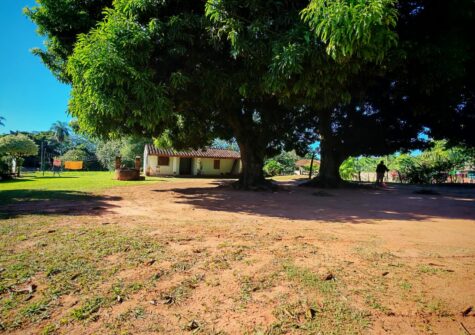 Terrenos en CAACUPE – a pocos metros de Ruta 2
